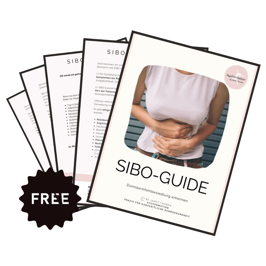 SIBO-Guide zum freien Download