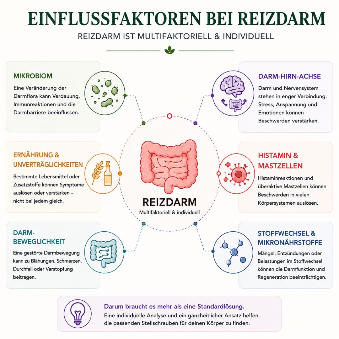 Einflussfaktoren-bei-Reizdarm_Ayuformation